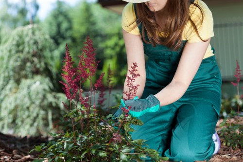 Gardener inspecting a planting area with notes