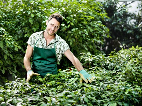 Gardener preparing tools at a Bow front garden